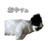 855584771