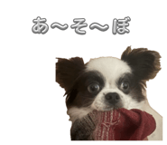 855584773