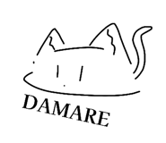 855585128