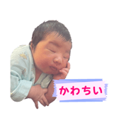 855585406