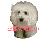 855585787