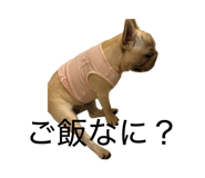855585802