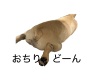 855585803