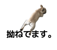 855585807