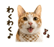 855585822