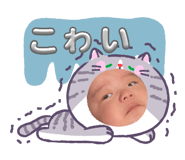 855586047