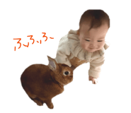 855586081