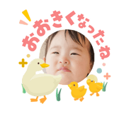 855586244