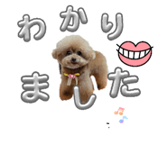 855586290