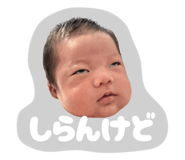 855586316
