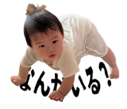 855586612