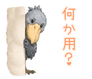 855587490