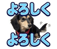 855587820