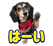 855587822