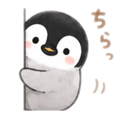 855587960