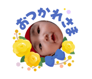 855588051