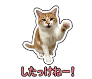 855588169