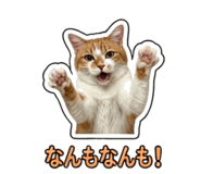 855588170