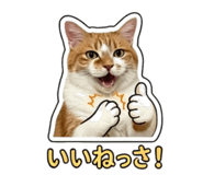855588174