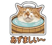 855588176