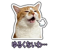 855588178