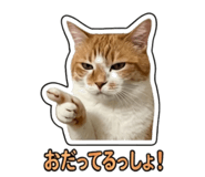 855588180