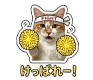855588182