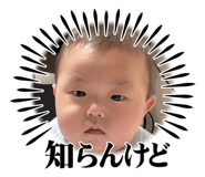 855588495