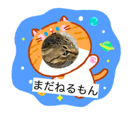855588855