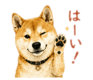 855589188