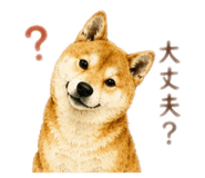 855589191