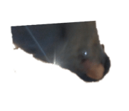 855589219