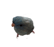 855589221