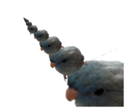 855589222