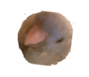855589223