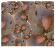855589224