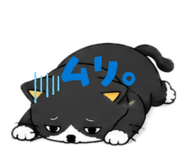 855590620