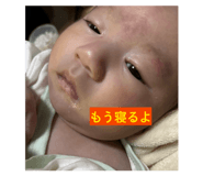 855590658