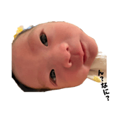 855590827