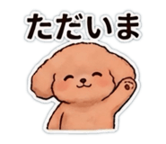 855591131