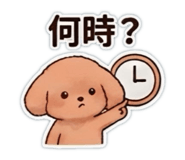 855591142