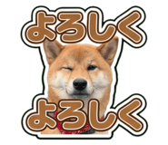 855591227
