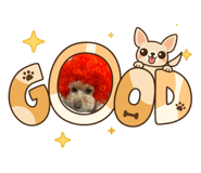 855591361