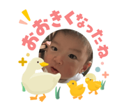 855591541