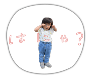 855591565