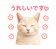 855591680