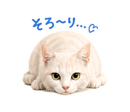 855591688