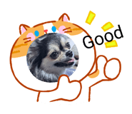 855591813