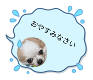855591814