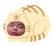 855592064